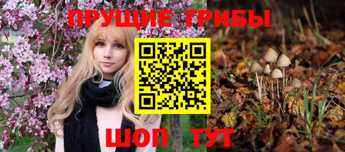 Галлюциногенные грибы прущие грибы Тобольск