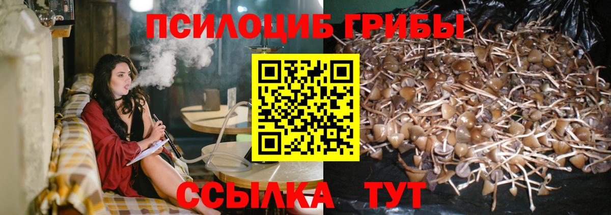 Галлюциногенные грибы ЛСД  Вход с VPN  Тобольск 